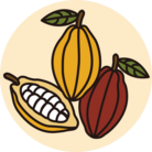 CACAO INCANTO ( CACAO_INCANTO )