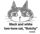 らや(RAYA) ONLINE SHOP ( ninja-9PlTIcFSMQxJ )