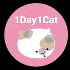 1DAY1CAT