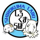 しろくまらぼ of くまゆらいぶらりー ( shirokumalabo )