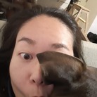 シャーちゃんと私 ( Sha-miku0818 )