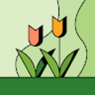 りんご ( ringo_lovebird )