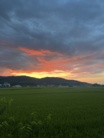 しょーや ( shouya81 )