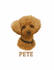 PETE ( Pete )