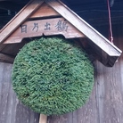 合資会社井坂酒造店 ( hinodetsuru_isakasakebrewery )