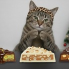 headbandcat.asmr🐆 ( runa-7 )