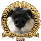 schnauzer_culb_jp
