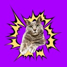 グレちゃんshop ( Ruto-Gure )