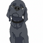 ハートフルDoG ( Heartful-DoG )