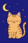 星の猫ちゃん ( ih_rk00 )