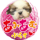 Slivull ( slivull_crochet )