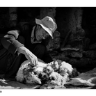 旅の写真展 ( yagi_yagi )