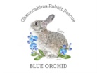 Ohkunoshima Rabbit Rescue BLUE ORCHID ( mercedes12 )