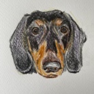 asaka ( ninja-XEbdZgI3usSS )