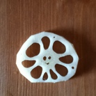 まつねこ ( matsuokabilly )