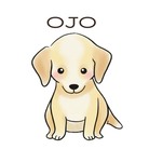 OJO｜親子リンクコーデ・ファミリーギフト ( OJO_STORE )