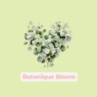 Botanique Bloom ( Botanique_Bloom )