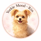 Yorkie Mood – Rin ( yorkiemood-rin )
