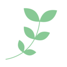 slowlystar ( lemonadefox )