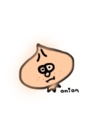 onion ( onion_0513 )