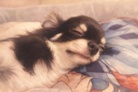 シャボン玉。 ( pekotan1222 )