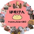 hamuken30 ( hamuken )