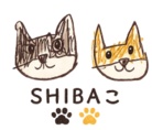 SHIBAこ ( TOMODATIKIPP )