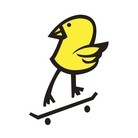 Killy_Bird_official ( own_originalworldnetwork )