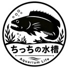 ちっちの水槽 Official Shop ( Chicchi2404 )