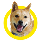 PEACE_WANKO