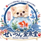 せいらん金魚堂-Seiran Kingyodo- ( SeiranKingyodo )