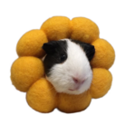 sumu