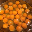 piyochannels