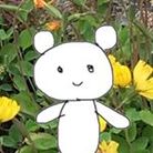 クマのポコちゃんkuma_no_pocochan ( rurusanpocochan )