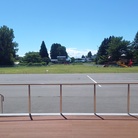 ガムシロ ( Gamu-shiro )