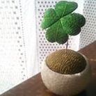 Minami ( minami_yotuba )