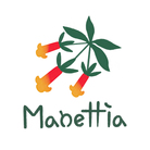 Manettia （マネッチア） ( manettia )