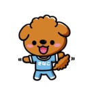 トイプーのきなこ ( kinaco2023 )