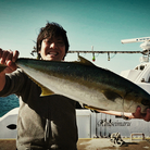 ドレさんのお店 ( dreadnote )