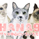 HANA9. ( HANA9 )