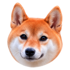 柴犬モナカSHOP ( wasamon )