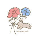 Sugar Ginger Cookie ( Sugar-ginger-cookie )