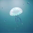 カンペキパンプキン ( hashiy911 )