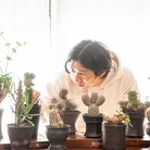 monkey plants ( monkey-plants )