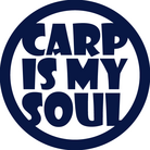 CARP_SATO1 ( satospo )
