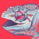 カメレオン★マニア(chameleon★mania) ( chamemani )