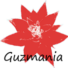 サウナジャンキー ( Guzmania )