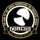 Dorcus top breeding system ( Dorcustopbreedingsystem )