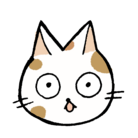 SHIO shop ( goods_shio )