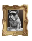 BULLGLASS SHOP ( HOT_BULLDOG )